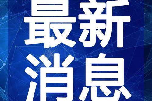 丹东饭店爆料案件视频最新,真相揭露，疑云重重