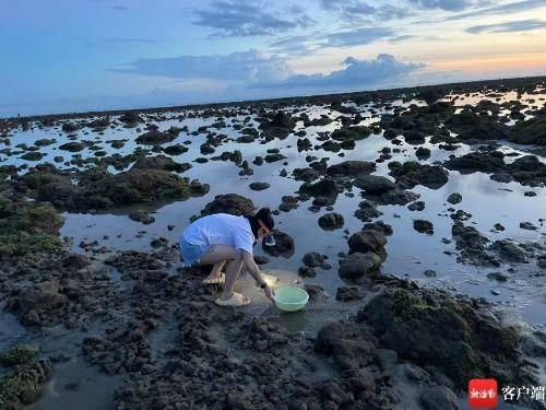 海南赶海爆料视频下载,揭秘渔民捕捞瞬间，高清视频带你领略海洋魅力