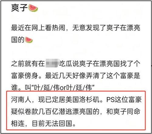 新瓜网红爆料视频大全,热门事件幕后真相揭晓