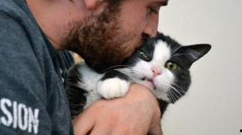 吃瓜娱乐的喵哥是谁呀,吃瓜娱乐界的神秘喵星人  第3张