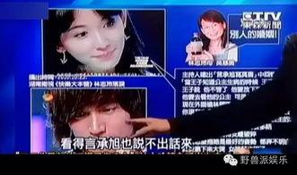 娱乐吃瓜蜀黍广告视频,揭秘娱乐圈幕后故事，带你领略明星幕后生活